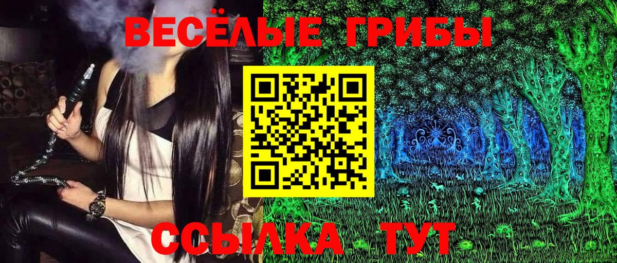 Псилоцибиновые грибы мухоморы  Псилоцибиновые грибы GOLDEN TEACHER  Вход с VPN  Краснодар 